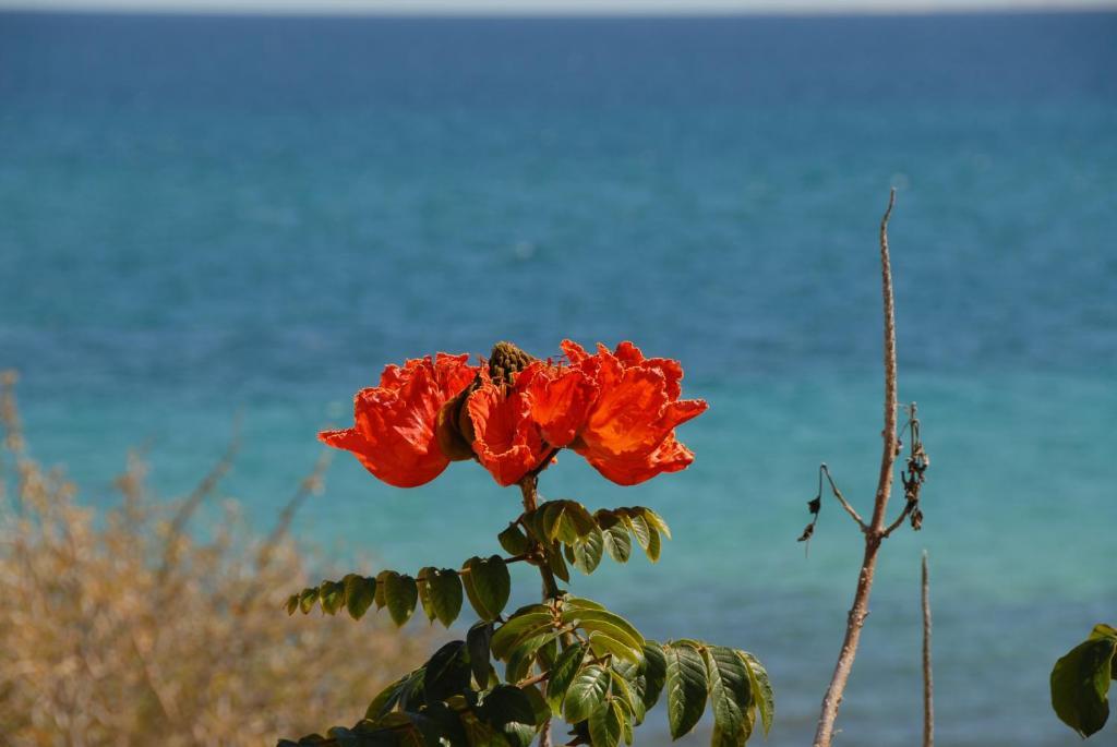 Ventana Bay 4* La Ventana